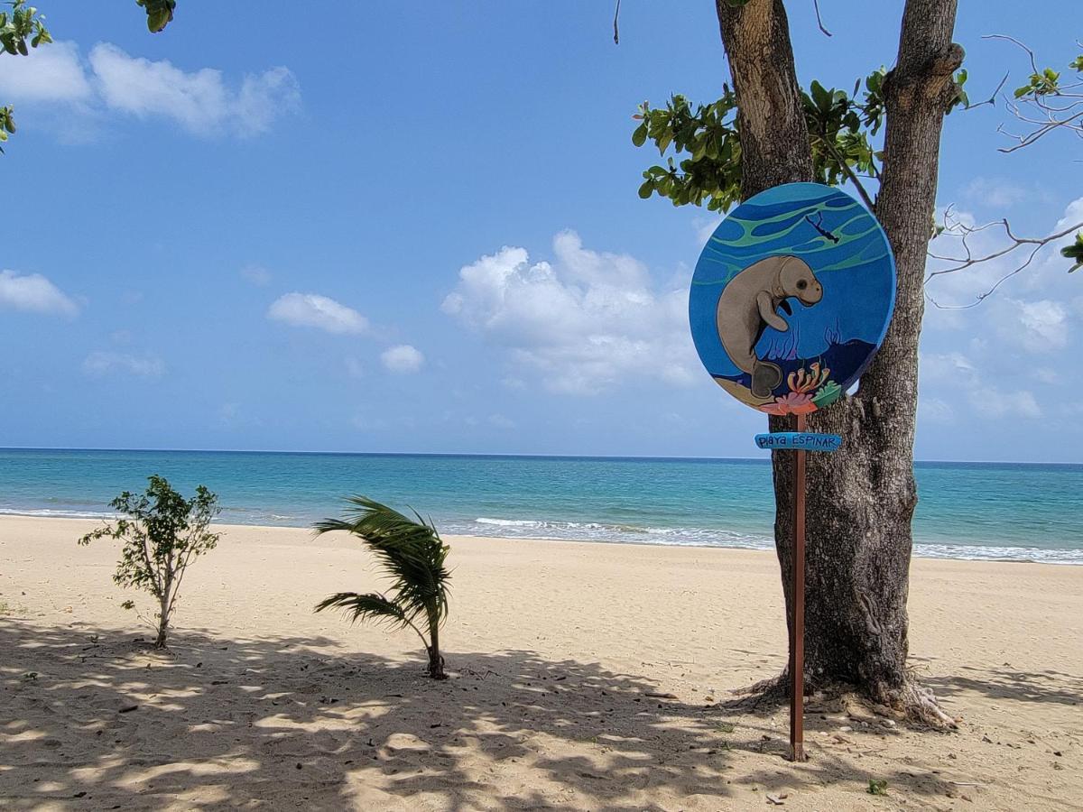 Aguada Of The Seasアパートホテル エクステリア 写真